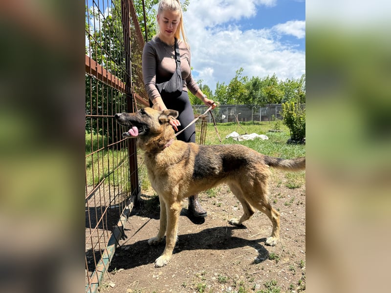 Juci sucht Abenteuer