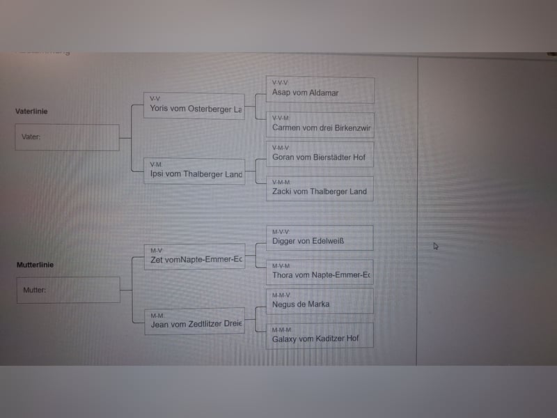 Wurfankündigung