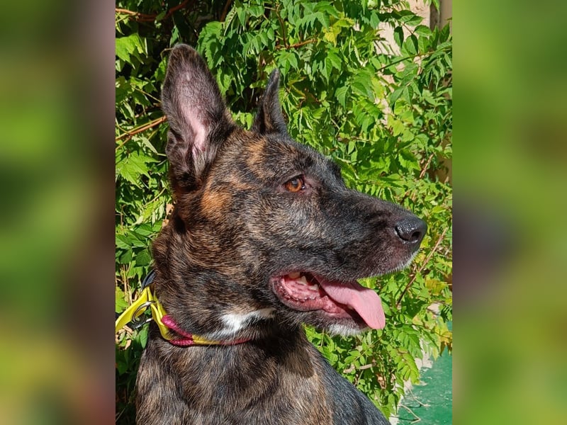 Xena