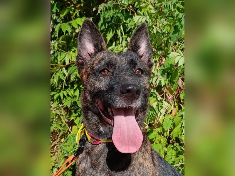 Xena