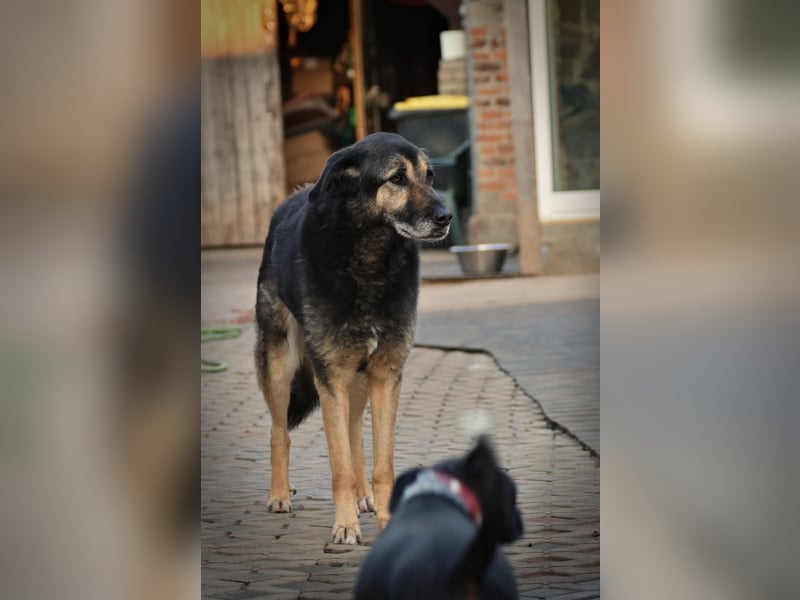 Schöne Russin Chippa