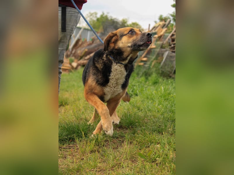 Berta VA – Sanfte Seele sucht ihr neues Glück