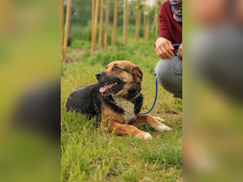 Berta VA – Sanfte Seele sucht ihr neues Glück