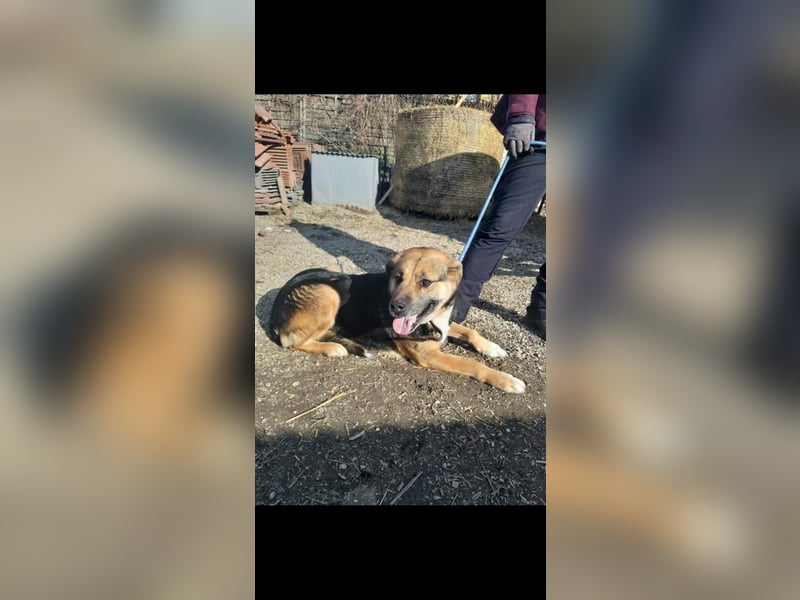 Berta VA – Sanfte Seele sucht ihr neues Glück