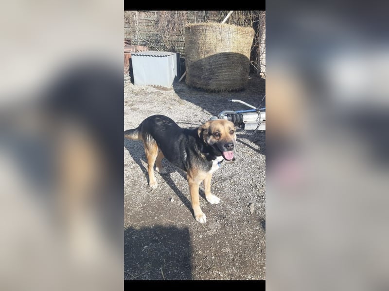 Berta VA – Sanfte Seele sucht ihr neues Glück