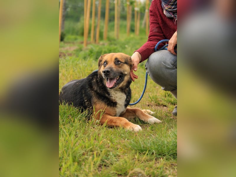 Berta VA – Sanfte Seele sucht ihr neues Glück