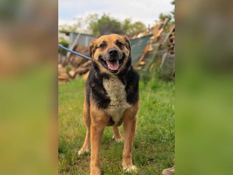 Berta VA – Sanfte Seele sucht ihr neues Glück