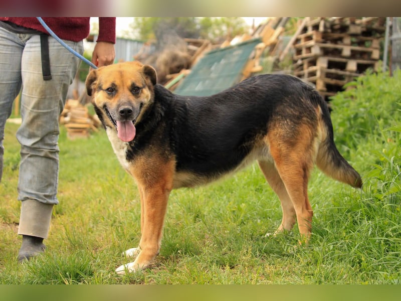 Berta VA – Sanfte Seele sucht ihr neues Glück