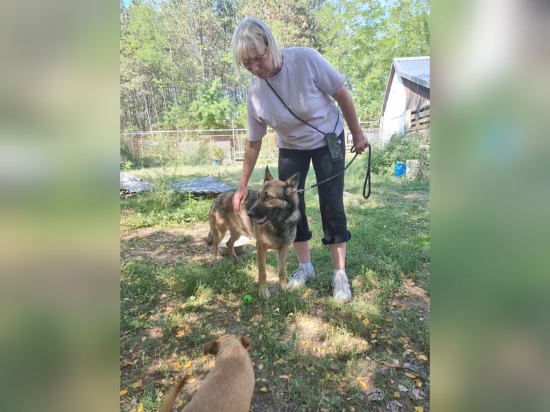 Ava, geboren 2018, 62cm sucht ihre Menschen