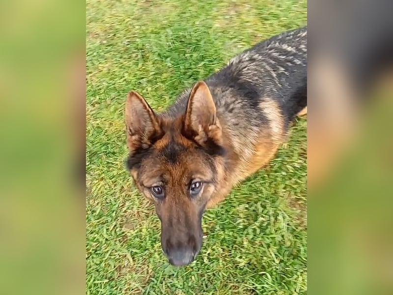 Marvel sucht ihren Menschen