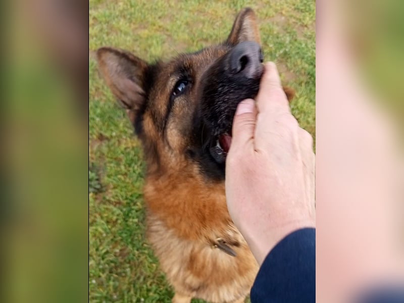 Marvel sucht ihren Menschen