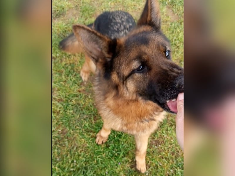 Marvel sucht ihren Menschen