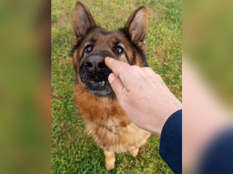 Marvel sucht ihren Menschen