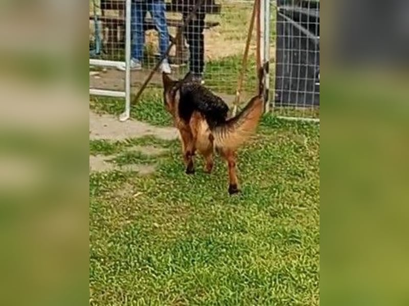 Marvel sucht ihren Menschen