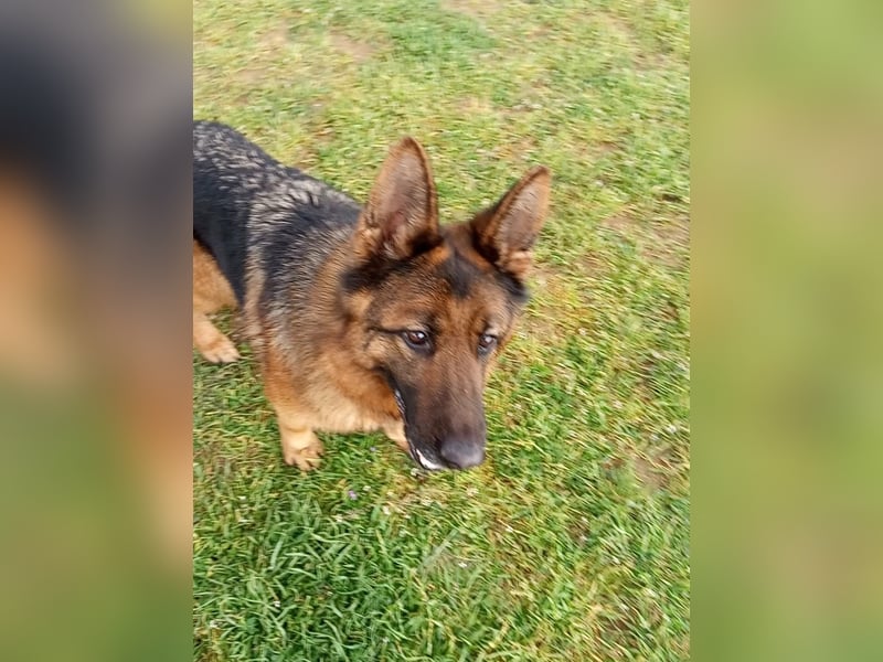 Marvel sucht ihren Menschen