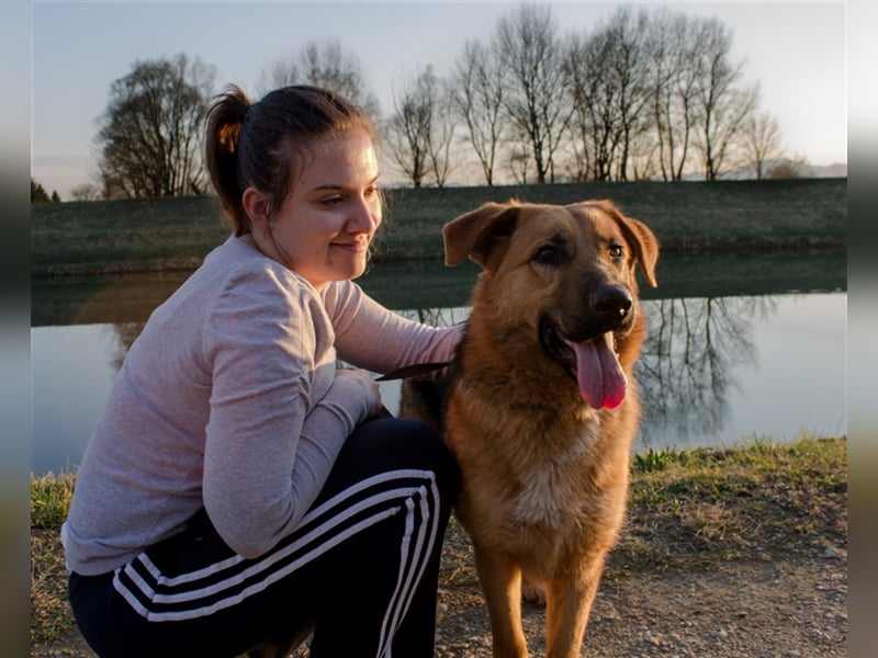 Roger - Sehnsucht nach einem farbenfrohen Hundeleben
