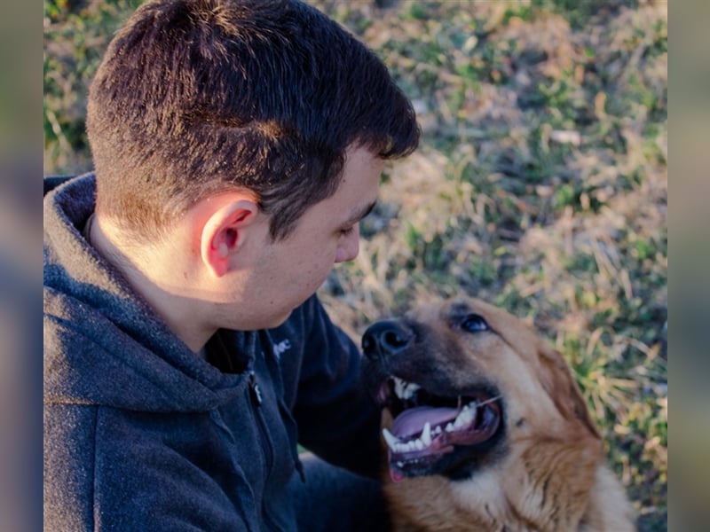 Roger - Sehnsucht nach einem farbenfrohen Hundeleben