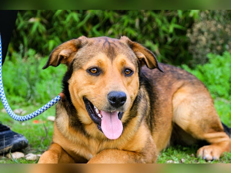 Freundlich – Sanft – Unkompliziert = • P•E•P•E •