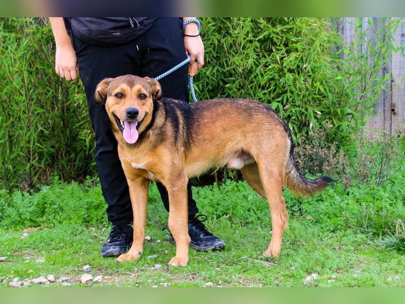 Freundlich – Sanft – Unkompliziert = • P•E•P•E •