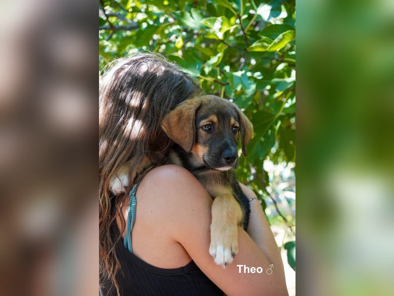 Tilly und Theo suchen noch ein Zuhause