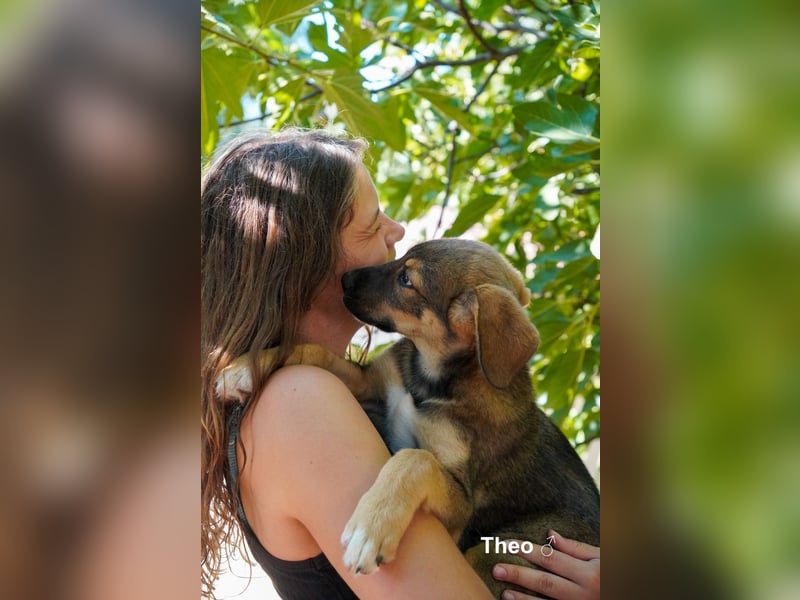 Tilly und Theo suchen noch ein Zuhause
