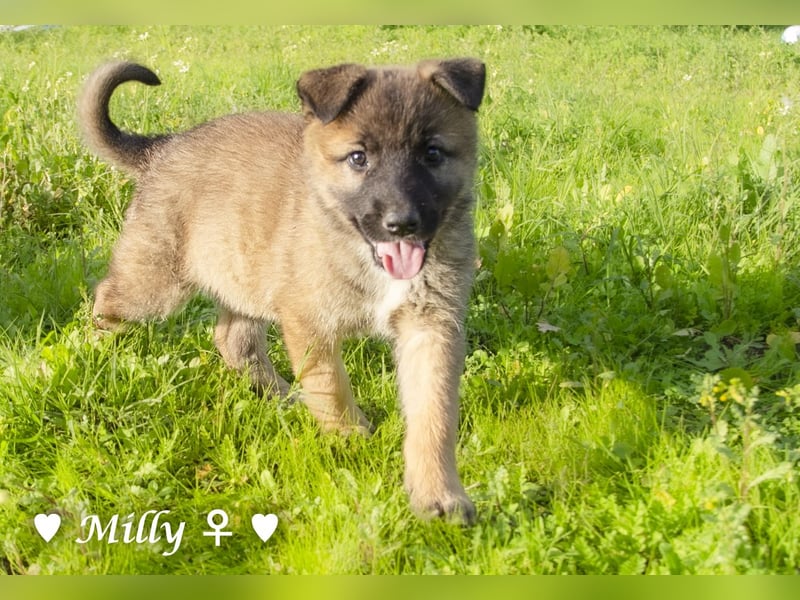 Die M-Mädels suchen ab Januar ein Zuhause