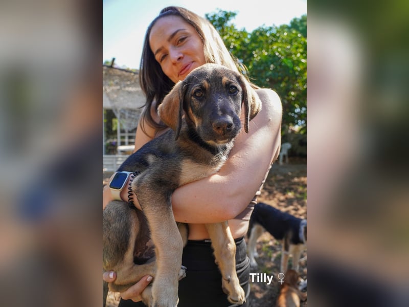 Tilly und Theo suchen noch ein Zuhause