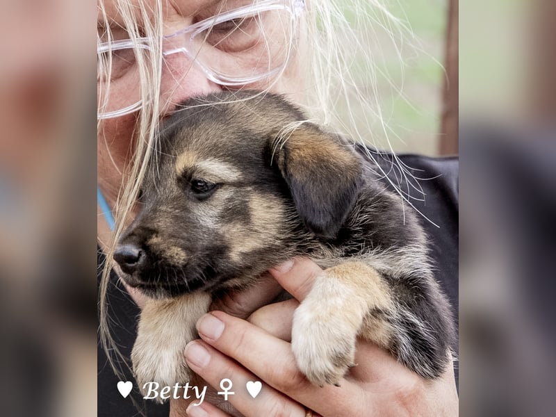 Barbie, Betty, Becky und Brenda suchen ab Mitte Januar ein Zuhause Barbie, Betty, Becky und Brenda suchen ab Mitte Januar ein Zuhause
