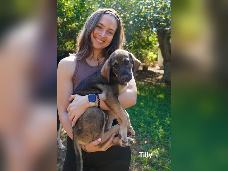 Tilly und Theo suchen noch ein Zuhause