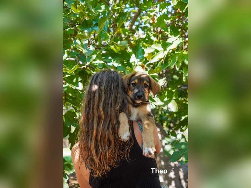 Tilly und Theo suchen noch ein Zuhause