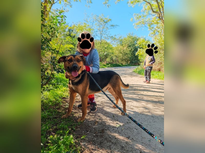 Zeno VA - aufgeschlossen, kinderlieb