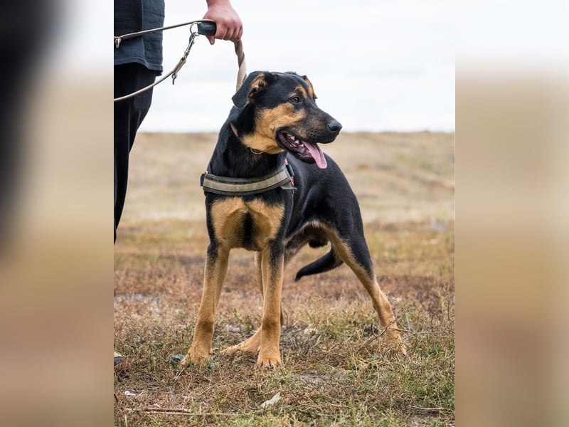 Neo SI - menschenlieb, kinderfreundlich