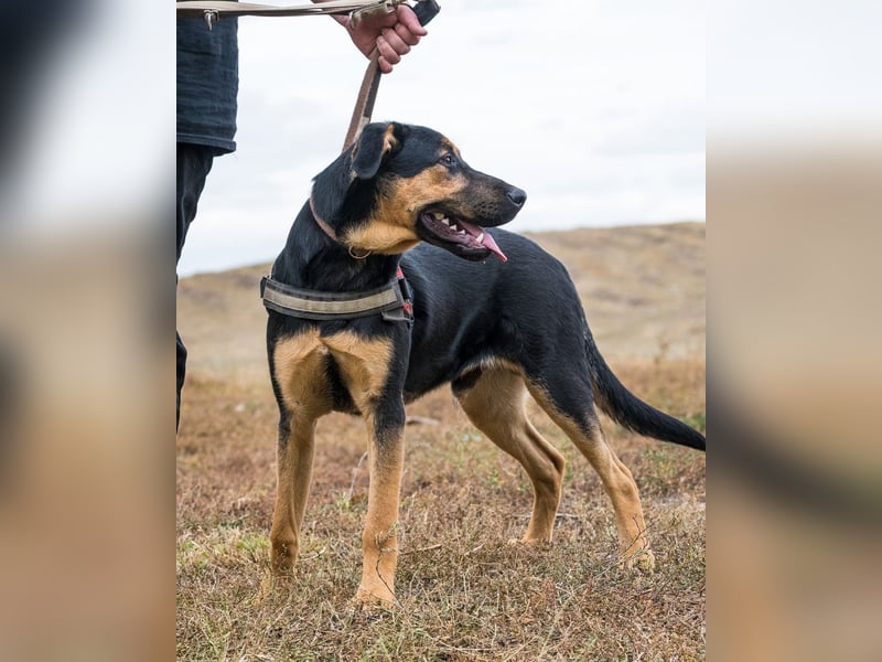 Neo SI - menschenlieb, kinderfreundlich