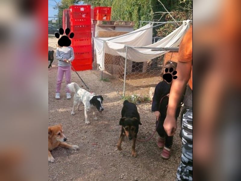 Zeno VA - aufgeschlossen, kinderlieb