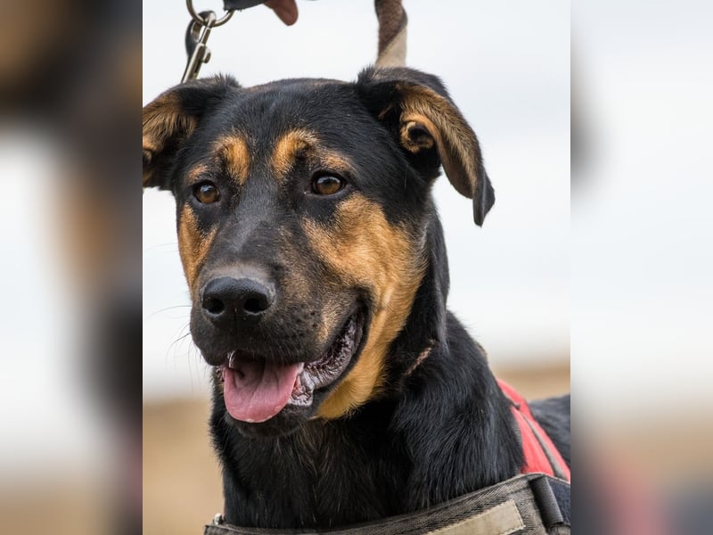 Neo SI - menschenlieb, kinderfreundlich