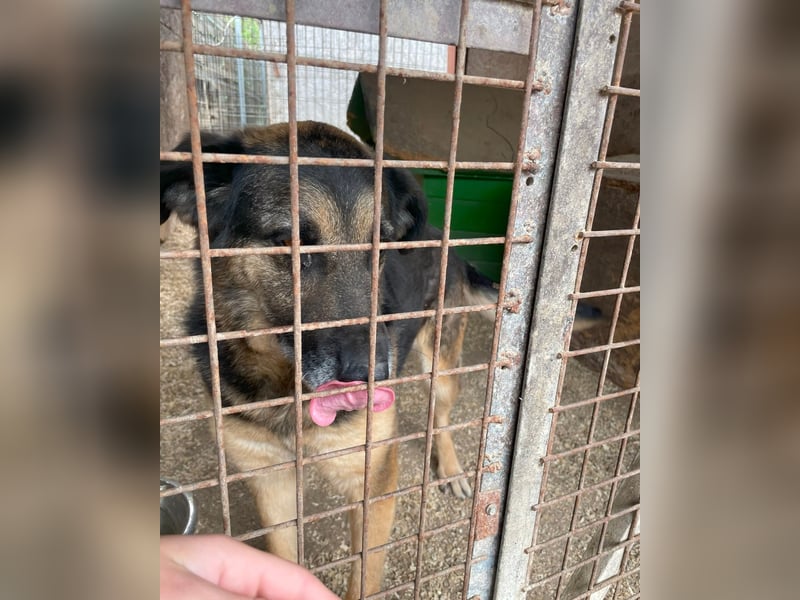 Roxana VA - kinderlieb, tapfer,liebevoll