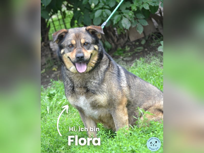 Flora SI, freundlich, fröhlich, aktiv
