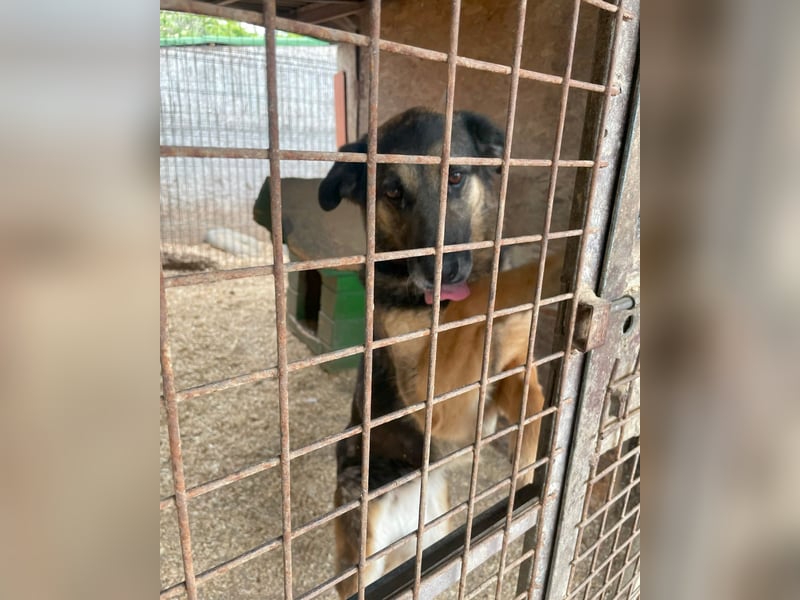 Roxana VA - kinderlieb, tapfer,liebevoll