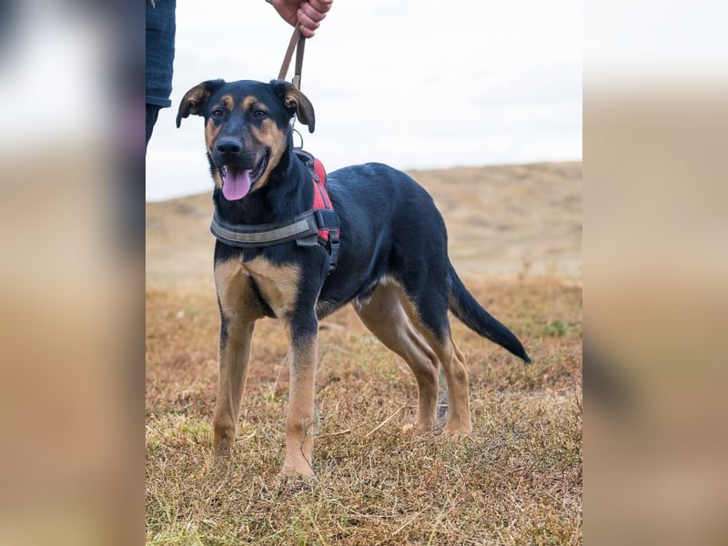 Neo SI - menschenlieb, kinderfreundlich