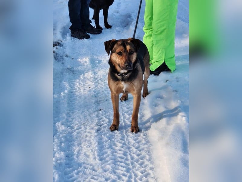 Zeno VA - aufgeschlossen, kinderlieb