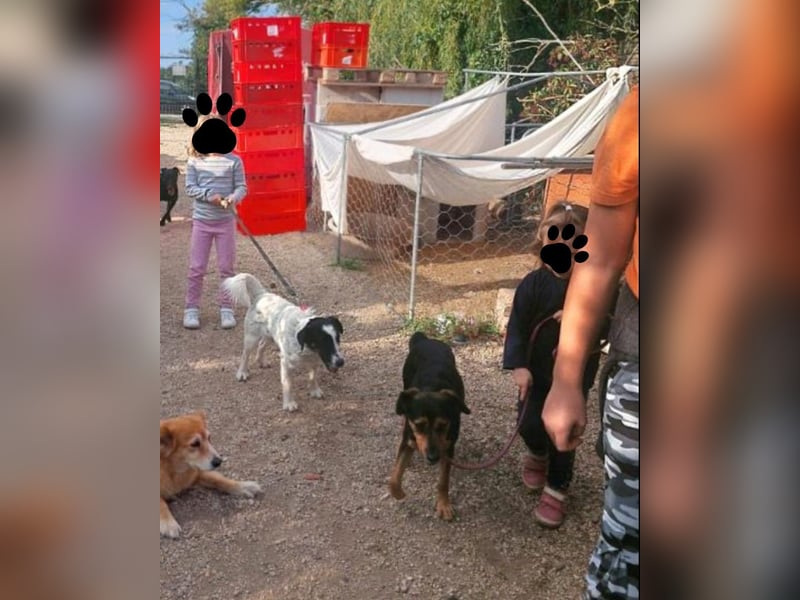 Zeno VA - aufgeschlossen, kinderlieb