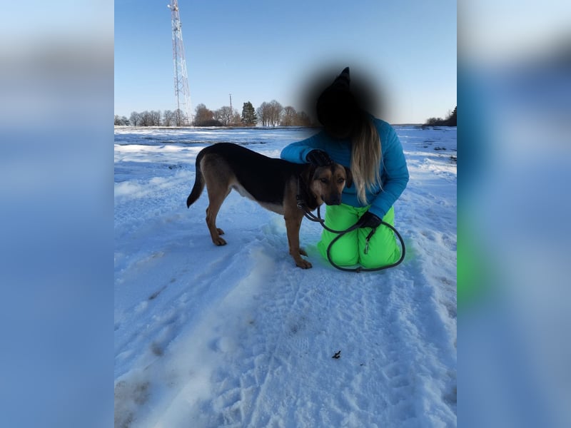 Zeno VA - aufgeschlossen, kinderlieb