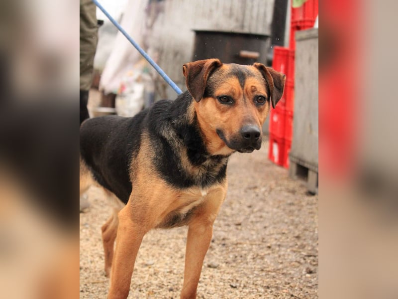 Zeno VA - aufgeschlossen, kinderlieb