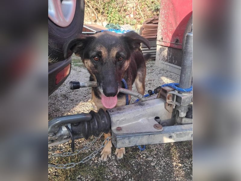 Roxana VA - kinderlieb, tapfer,liebevoll