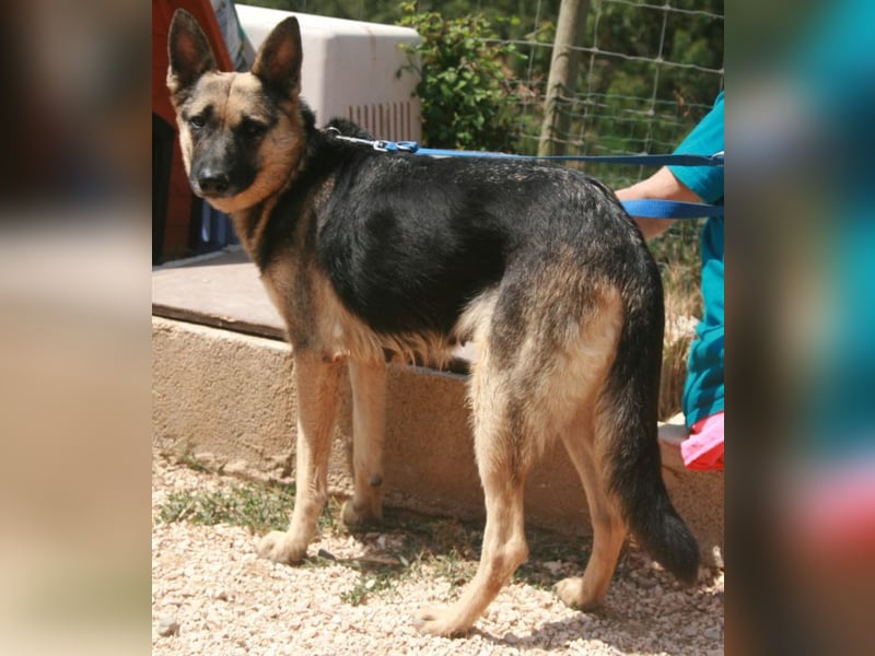 Wila mit dem großen Herz
