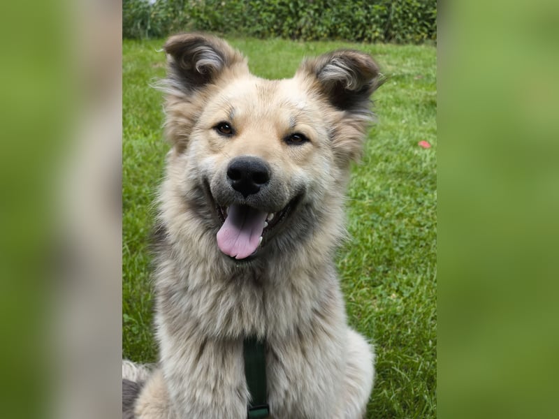 Meet Anton – unser 2-jähriger Herzensbrecher mit Plüschfaktor!