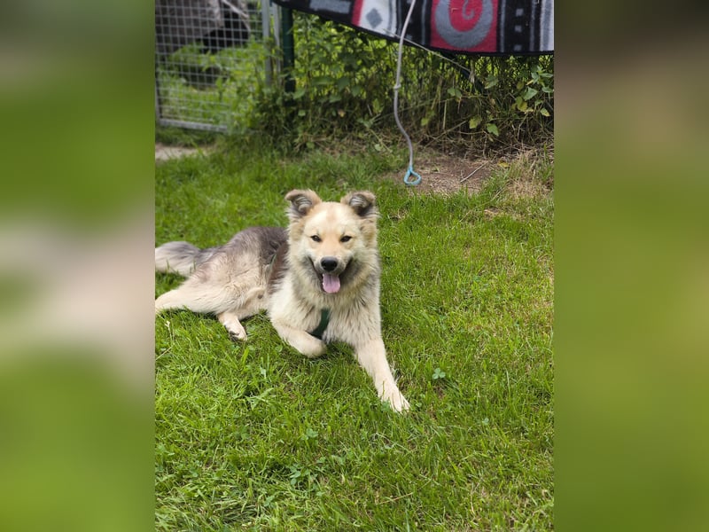 Meet Anton – unser 2-jähriger Herzensbrecher mit Plüschfaktor!