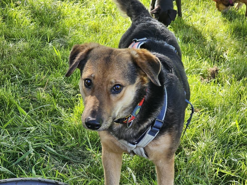 Rosita - auf einem guten Weg