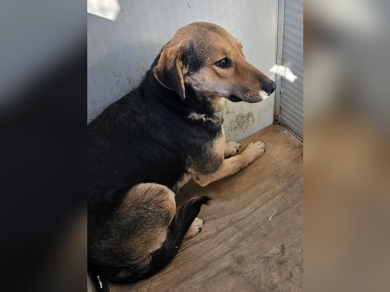 Rosita - auf einem guten Weg