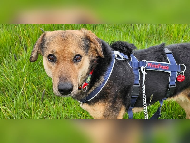 Rosita - auf einem guten Weg